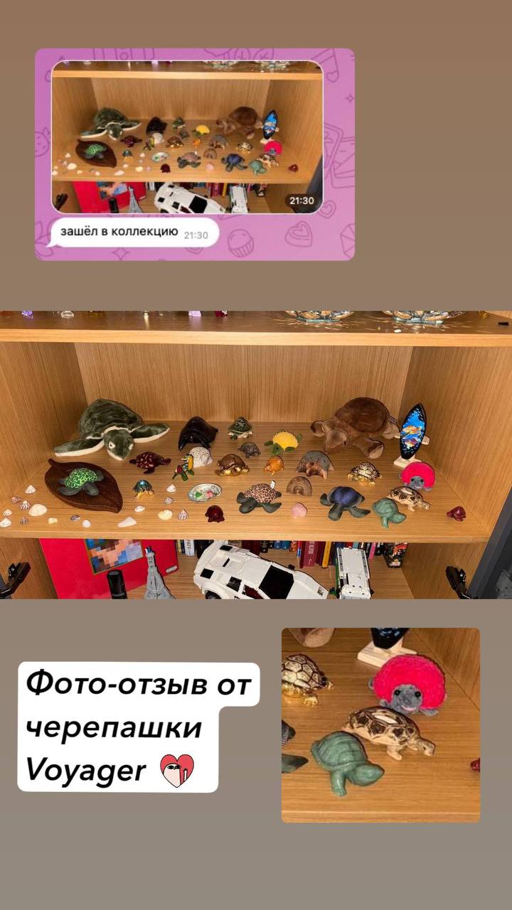 Отзыв клиента